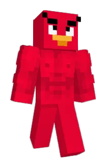 coolangrybird67_ Minecraft avatar full body