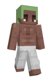 coolapojken Minecraft avatar full body