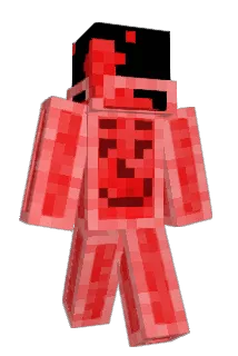 coolayd Minecraft avatar full body