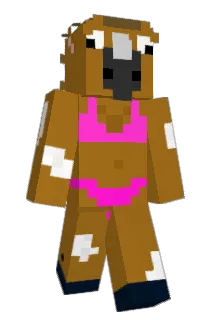 coolfox2005 Minecraft avatar full body