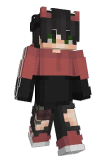 coolguy9117 Minecraft avatar full body