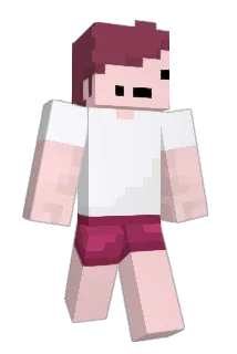 coolguyinator Minecraft avatar full body