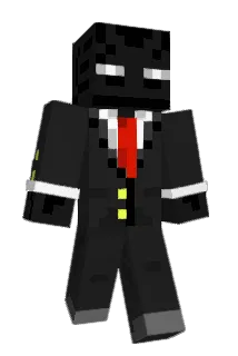 coolguyyt69 Minecraft avatar full body