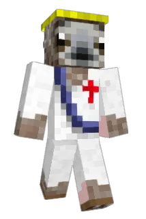 coolman3336 Minecraft avatar full body