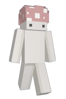 coolmushroom132 Minecraft avatar full body
