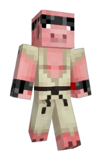coolninja2122 Minecraft avatar full body