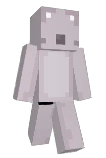 coolpass123 Minecraft avatar full body