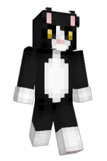 coomschmutz Minecraft avatar full body