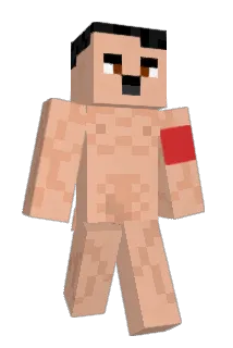 coopRF Minecraft avatar full body