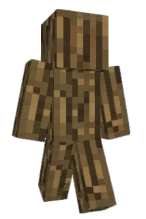 coopdog02468 Minecraft avatar full body