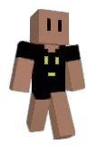 copenim Minecraft avatar full body