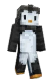copper_cat Minecraft avatar full body