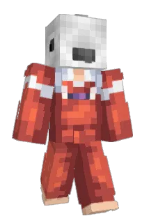 cor954 Minecraft avatar full body