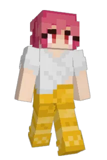 corndoggo23 Minecraft avatar full body