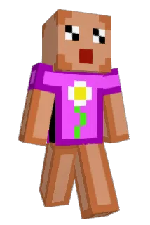 costra_ Minecraft avatar full body