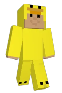 couchiman69 Minecraft avatar full body