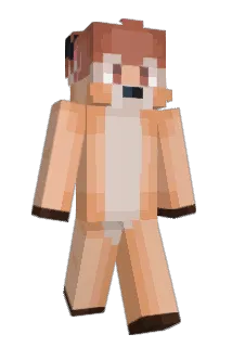 countertaha Minecraft avatar full body