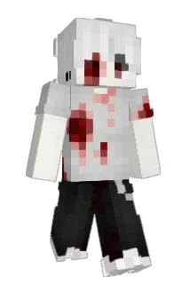 courtcases Minecraft avatar full body
