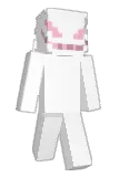 coutosz Minecraft avatar full body