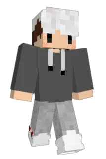 covellou Minecraft avatar full body