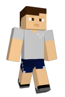 coyaxis Minecraft avatar full body