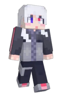 coyo43 Minecraft avatar full body