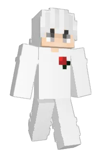 cpye Minecraft avatar full body