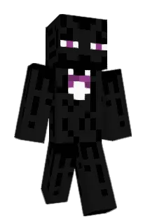 craftcubrick89 Minecraft avatar full body