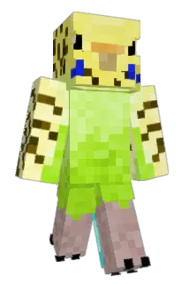 craftingmanidk34 Minecraft avatar full body
