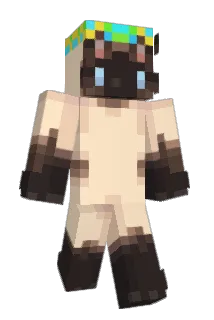 craftwisp Minecraft avatar full body