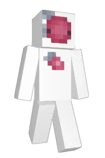 cranberriesauce Minecraft avatar full body
