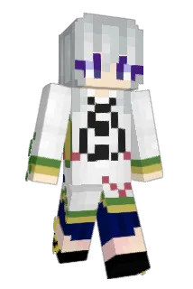 crash_2262 Minecraft avatar full body