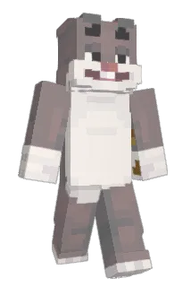 crazedturtle77 Minecraft avatar full body