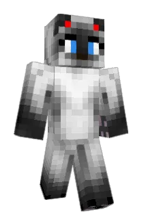 crazycat4444 Minecraft avatar full body