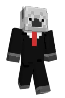 crazylama600 Minecraft avatar full body