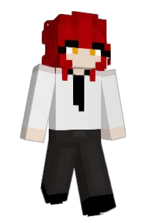 crockpotdave Minecraft avatar full body
