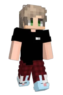 crwe Minecraft avatar full body