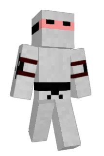 cseni Minecraft avatar full body