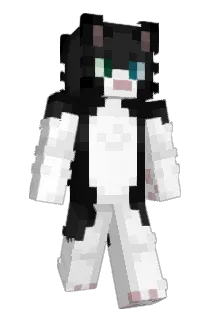 ctourek Minecraft avatar full body