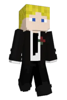 cup16 Minecraft avatar full body