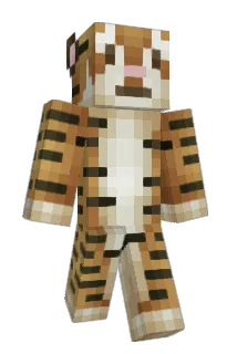 cuppacats Minecraft avatar full body