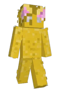 cvrtifiedd Minecraft avatar full body