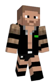 cvvpn Minecraft avatar full body