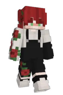 cweqtus Minecraft avatar full body