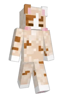 cxxxxxs Minecraft avatar full body