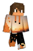 ppflash