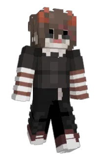Front of Hylje500's skin