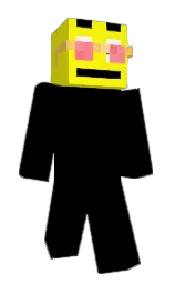 black and broom Minecraft skin — Classic model