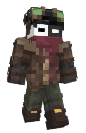 Skin preview
