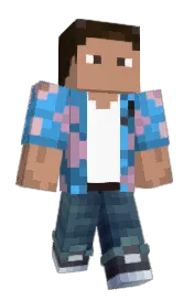 Skin preview